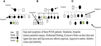 The mutational analysis of mitochondrial DNA in maternal inheritance of polycystic ovarian syndrome